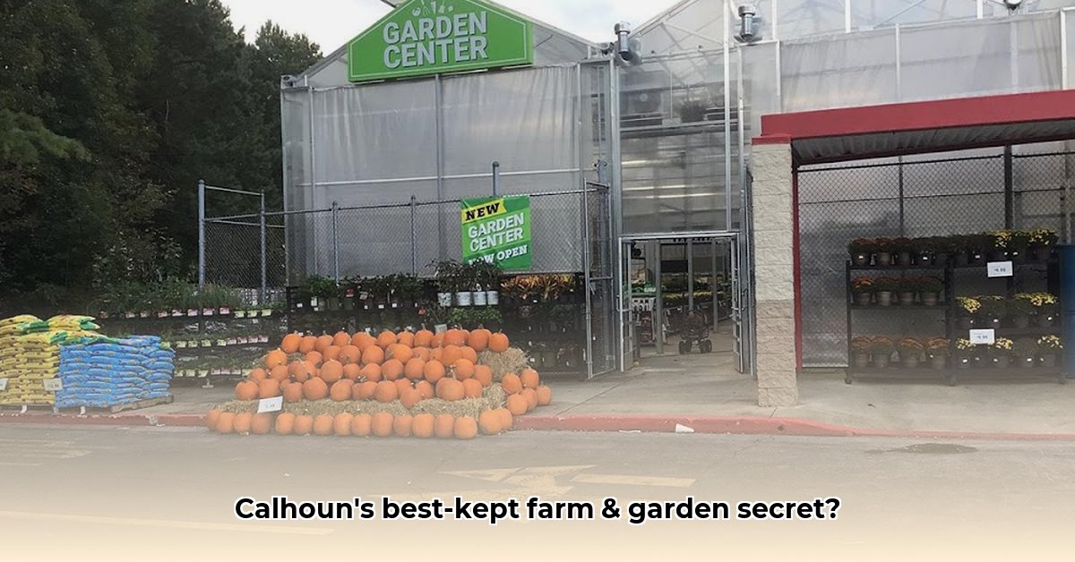 tractor-supply-calhoun-ga